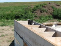 Wankers between joists