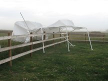 Wind damage