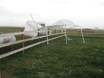 Wind damage